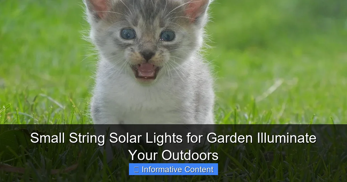 Small String Solar Lights for Garden Illuminate Your Outdoors