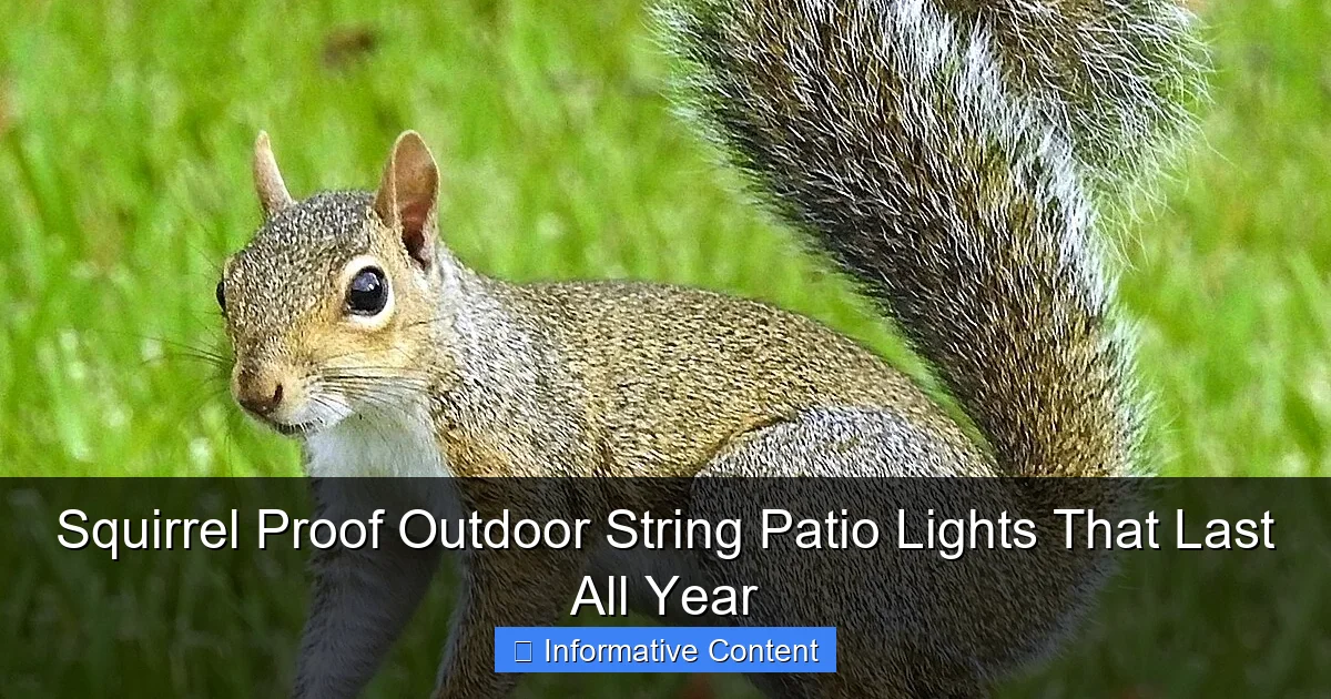 Squirrel Proof Outdoor String Patio Lights That Last All Year