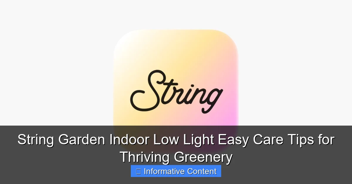 String Garden Indoor Low Light Easy Care Tips for Thriving Greenery