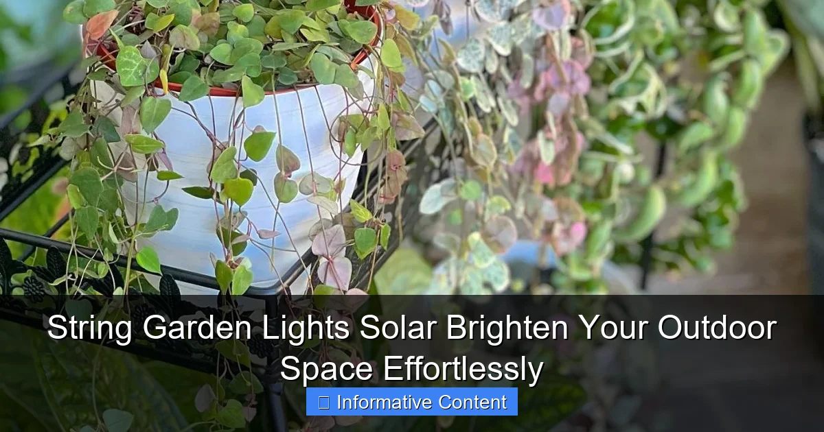 String Garden Lights Solar Brighten Your Outdoor Space Effortlessly