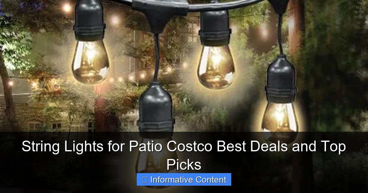 String Lights for Patio Costco Best Deals and Top Picks