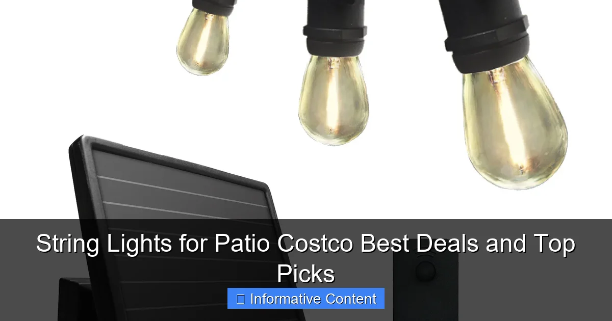 String Lights for Patio Costco Best Deals and Top Picks