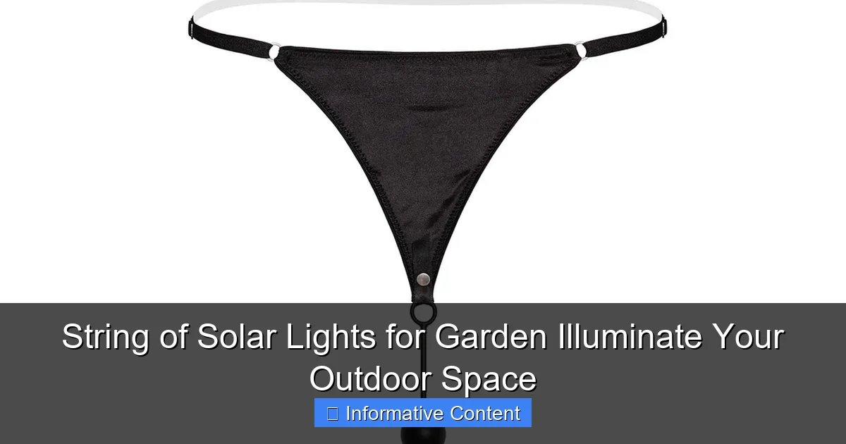 String of Solar Lights for Garden Illuminate Your Outdoor Space