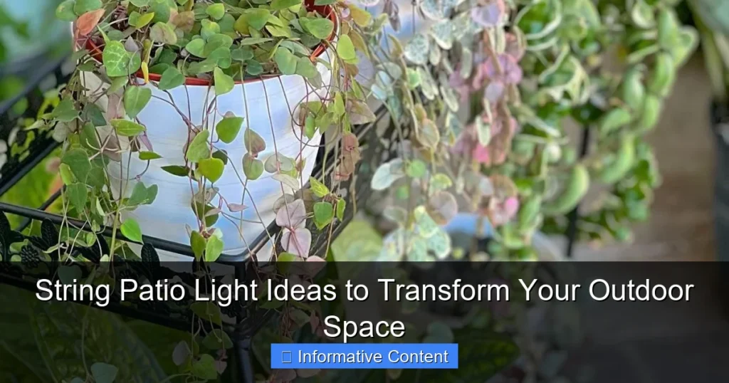 String Patio Light Ideas to Transform Your Outdoor Space