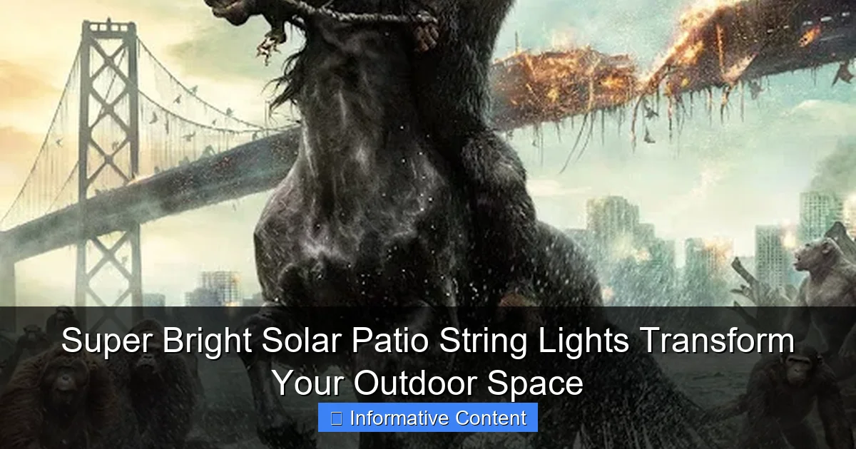 Super Bright Solar Patio String Lights Transform Your Outdoor Space