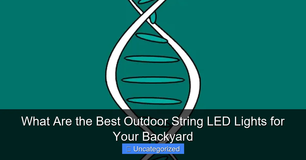 What Are the Best Outdoor String LED Lights for Your Backyard
