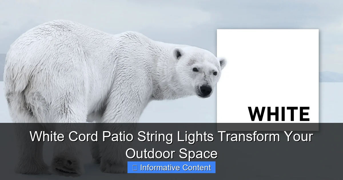 White Cord Patio String Lights Transform Your Outdoor Space