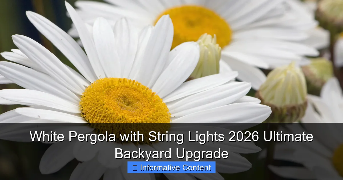 White Pergola with String Lights 2026 Ultimate Backyard Upgrade