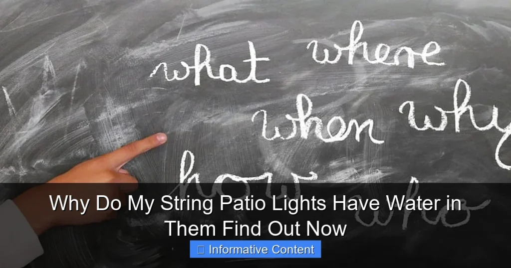 Why Do My String Patio Lights Have Water in Them Find Out Now