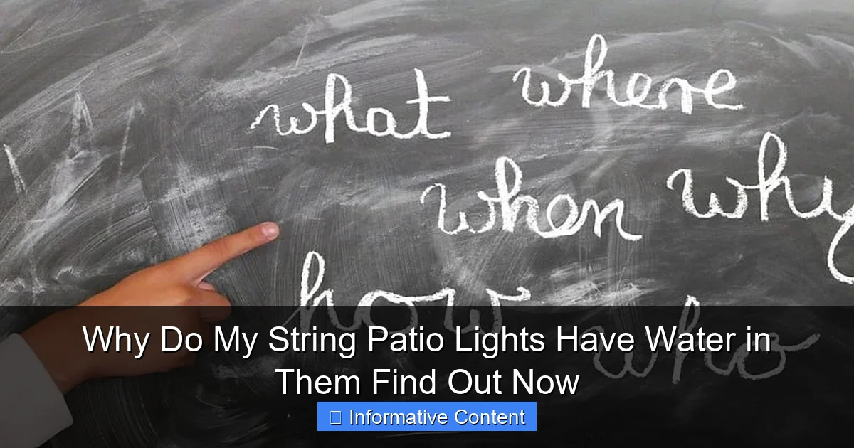 Why Do My String Patio Lights Have Water in Them Find Out Now