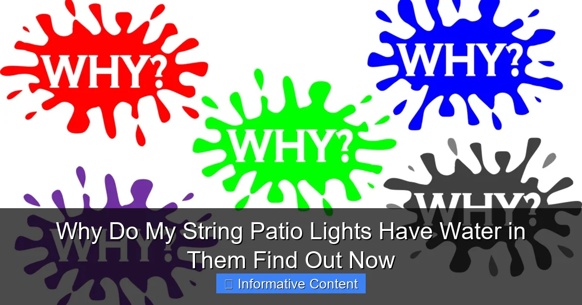 Why Do My String Patio Lights Have Water in Them Find Out Now