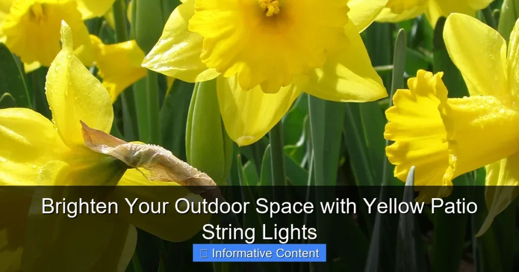 Brighten Your Outdoor Space with Yellow Patio String Lights